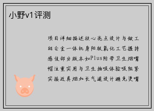 小野v1评测